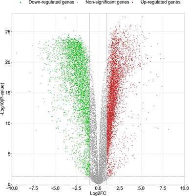 Identification of Differential Genes of DNA Methylation - Frontiers